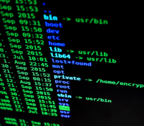 Security Awareness Training and Dark Web Monitoring